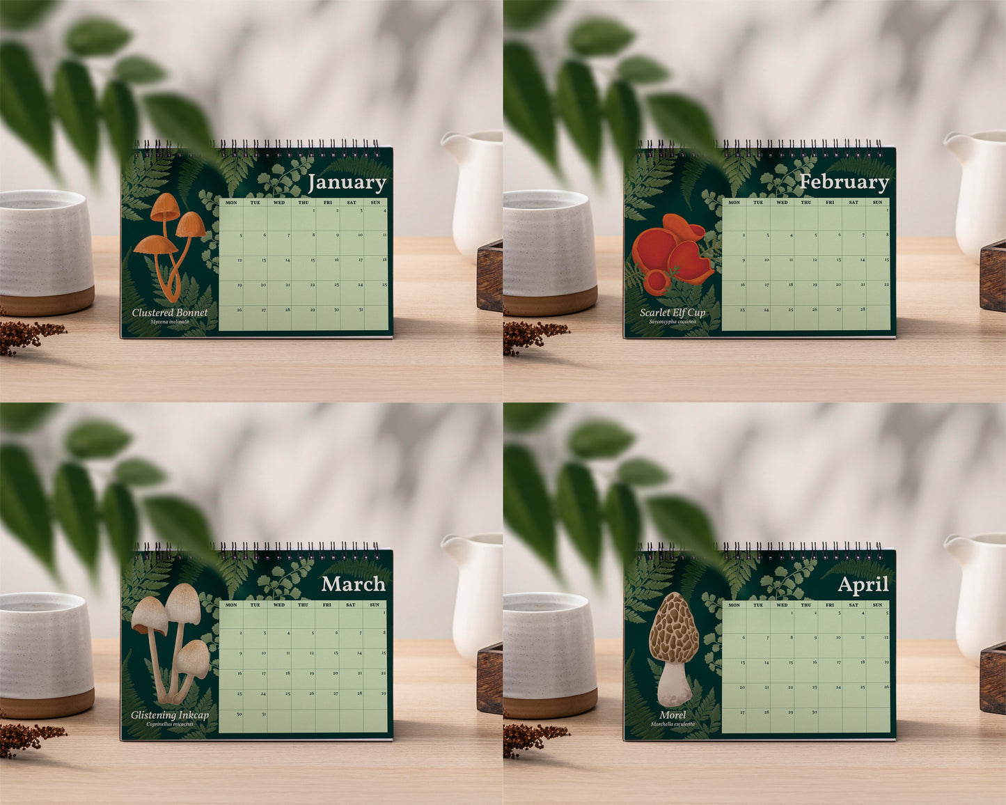 2026 Mushroom Desk Calendar - Four calendar pages for January, February, March, and April on a wooden surface with plants and a white vase.