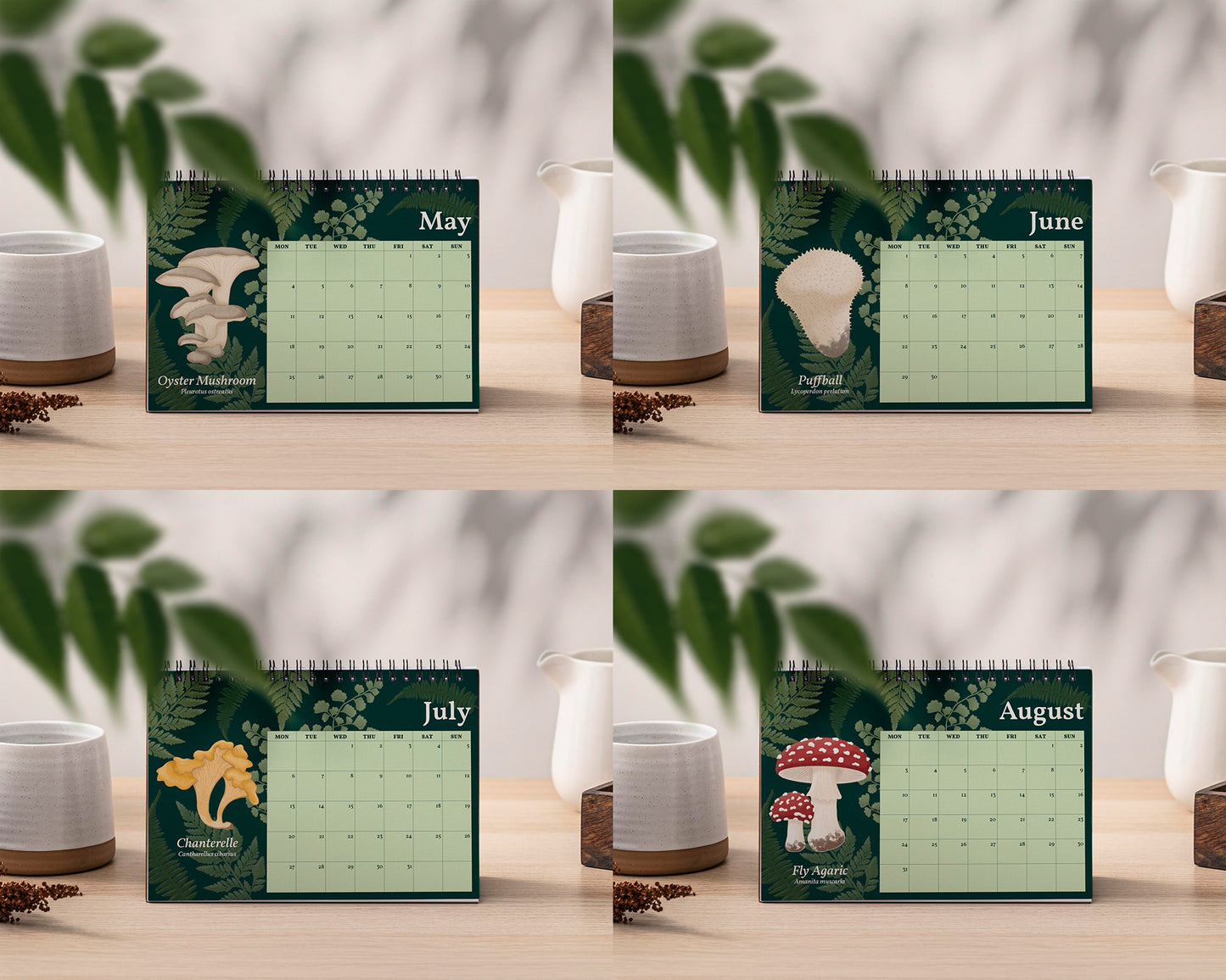 2026 Mushroom Desk Calendar - Four calendar pages for May, June, July, and August on a wooden surface with plants and a white vase.