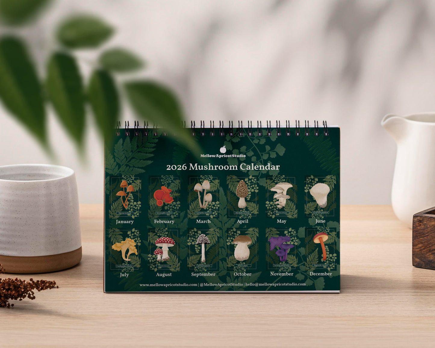 2026 Mushroom Desk Calendar - Yearly Overview