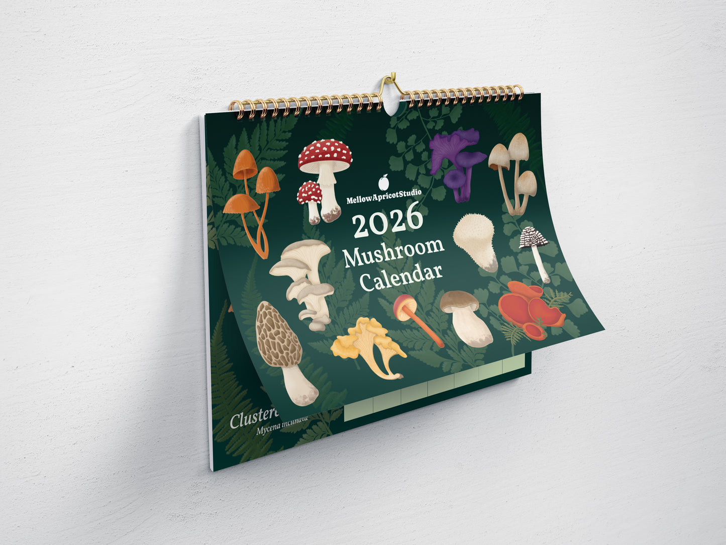 2026 Mushroom Calendar with illustrations of various mushrooms on a green background - angled view