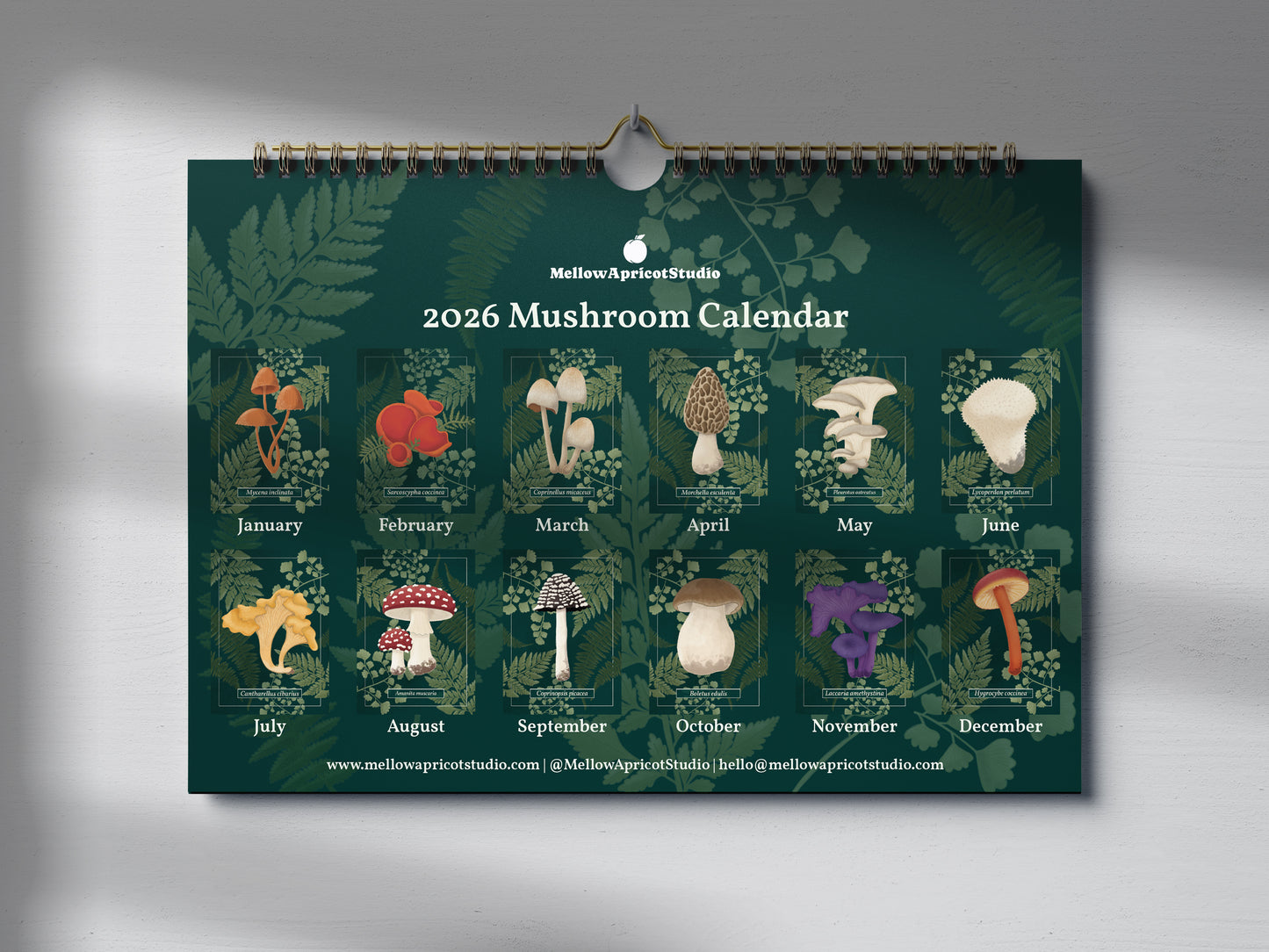 2026 Mushroom Calendar by Mellow Apricot Studio - yearly overview with 12 different mushroom illustrations