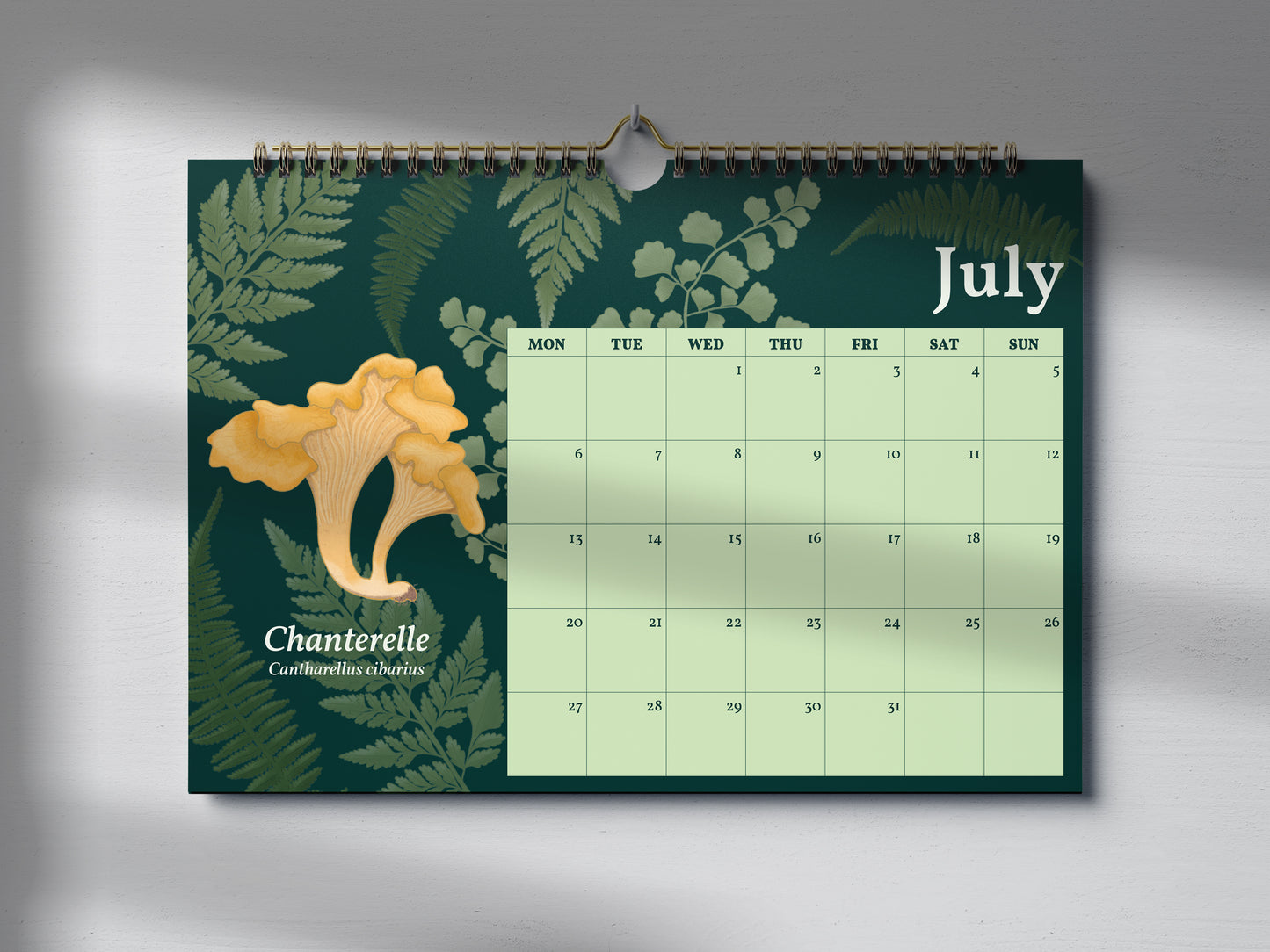 2026 Mushroom Calendar by Mellow Apricot Studio - July page featuring a chanterelle mushroom