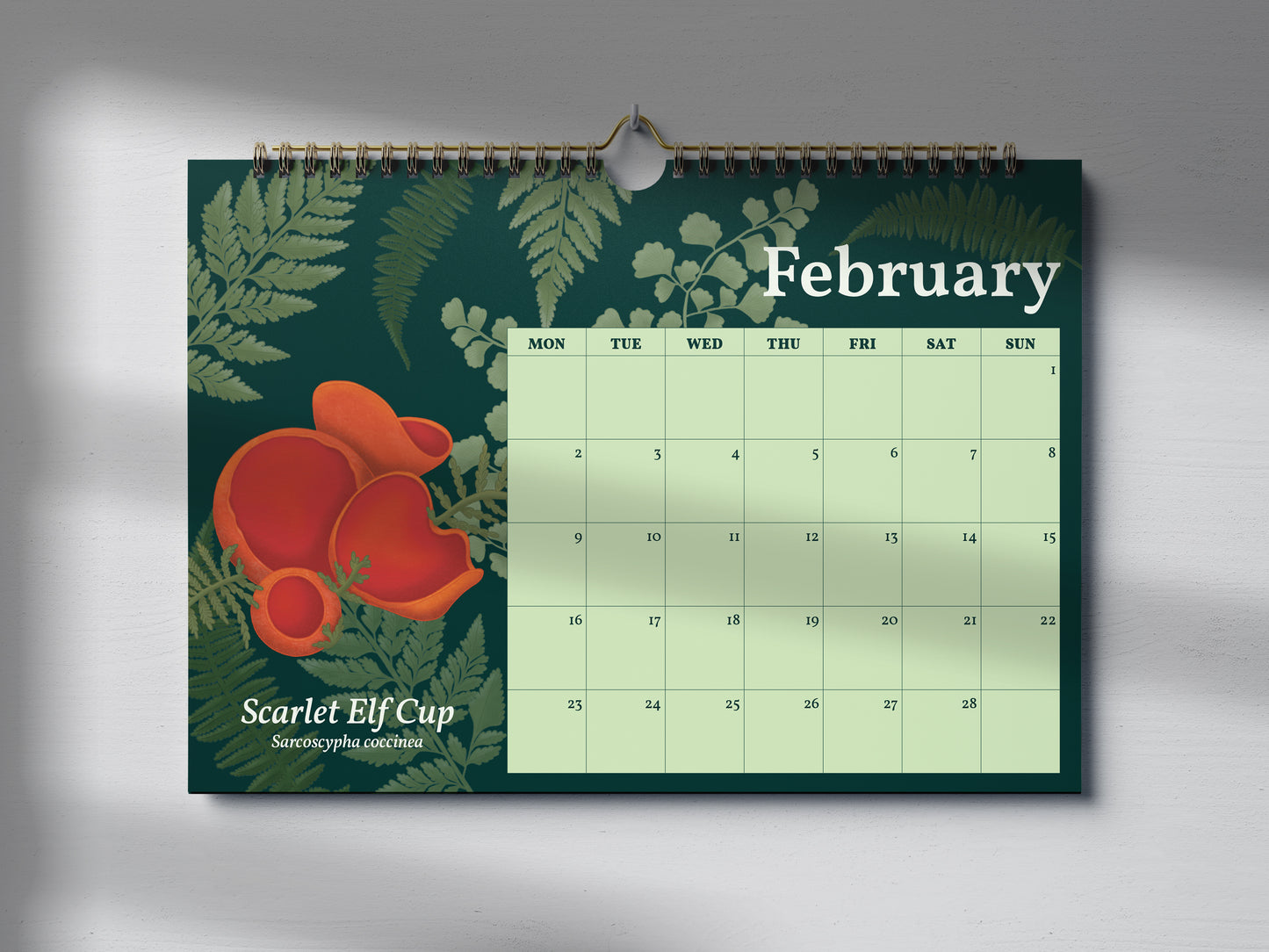 2026 Mushroom Calendar by Mellow Apricot Studio - February page featuring an scarlet elf cup mushroom