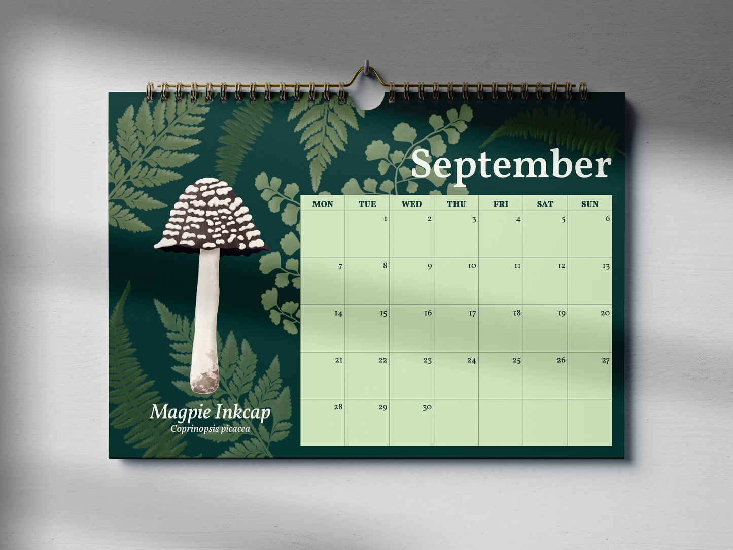 2026 Mushroom Calendar by Mellow Apricot Studio - September page featuring a magpie inkcap mushroom