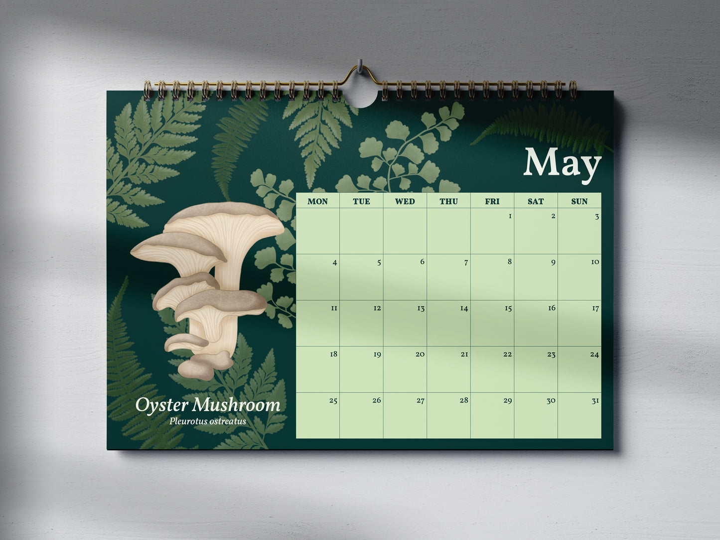 2026 Mushroom Calendar by Mellow Apricot Studio - May page featuring an oyster mushroom