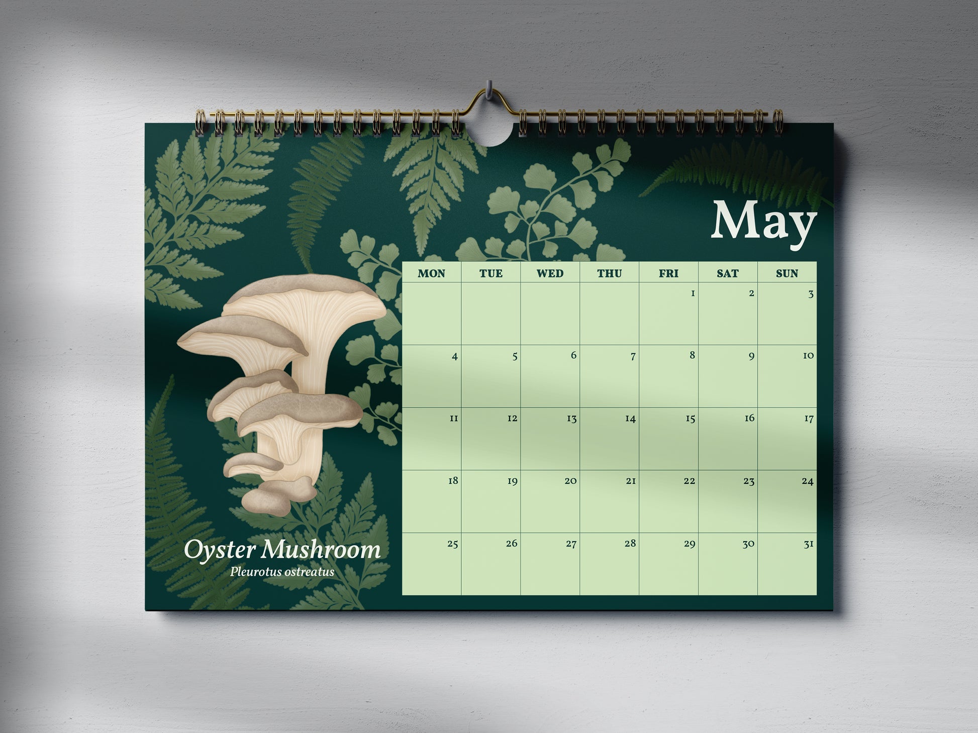 2026 Mushroom Calendar by Mellow Apricot Studio - May page featuring an oyster mushroom