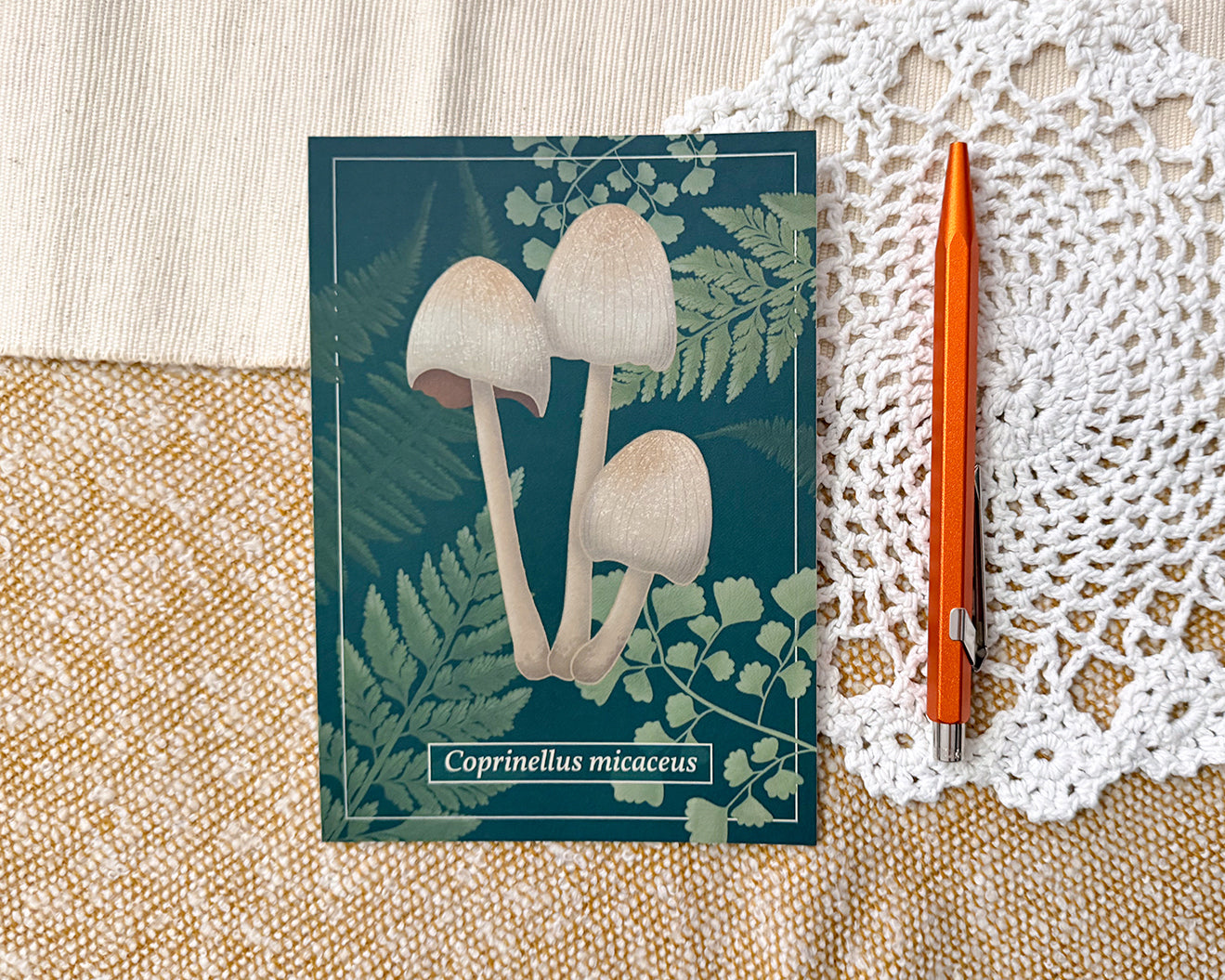 Postcard featuring an illustration of an glistening inkcap mushroom