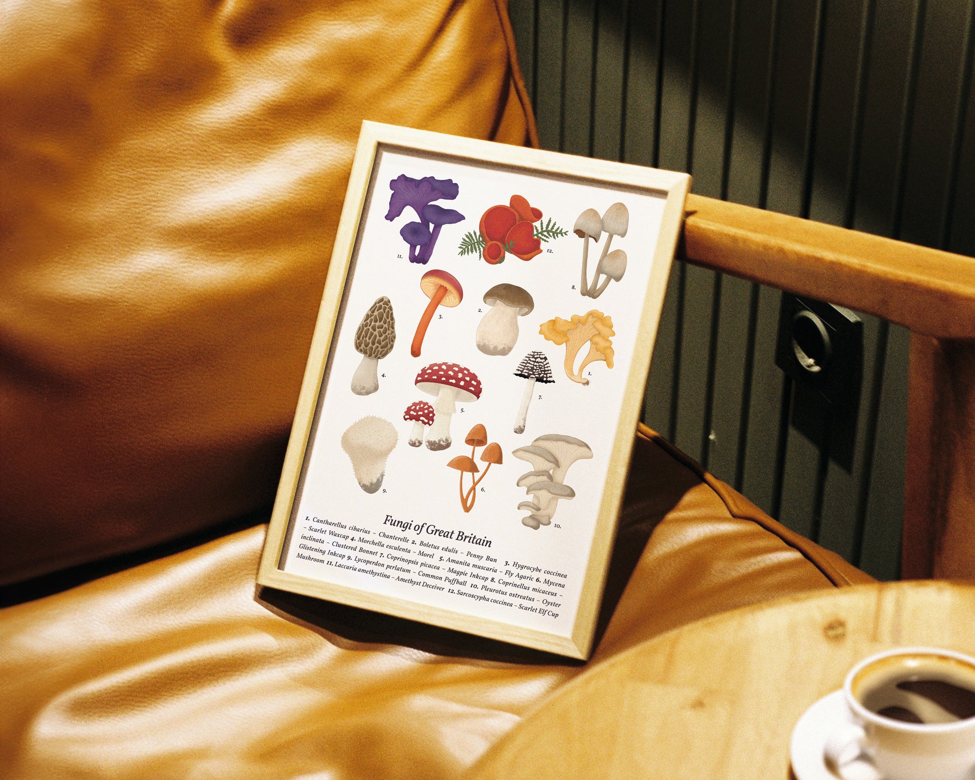 Mushroom Wall Art - A4 Framed on Chair