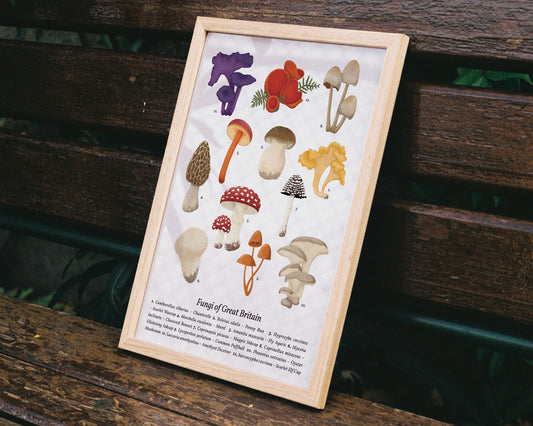 Mushroom Wall Art - A4 Framed on Bench