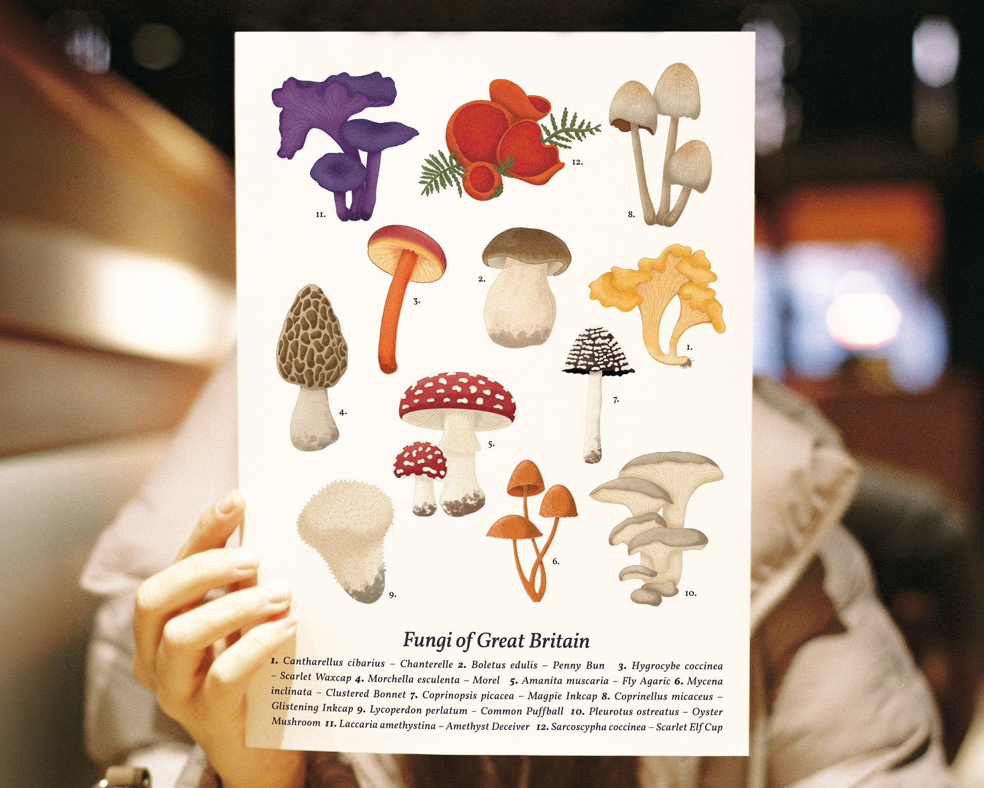 Mushroom Wall Art - A4 Held in hand