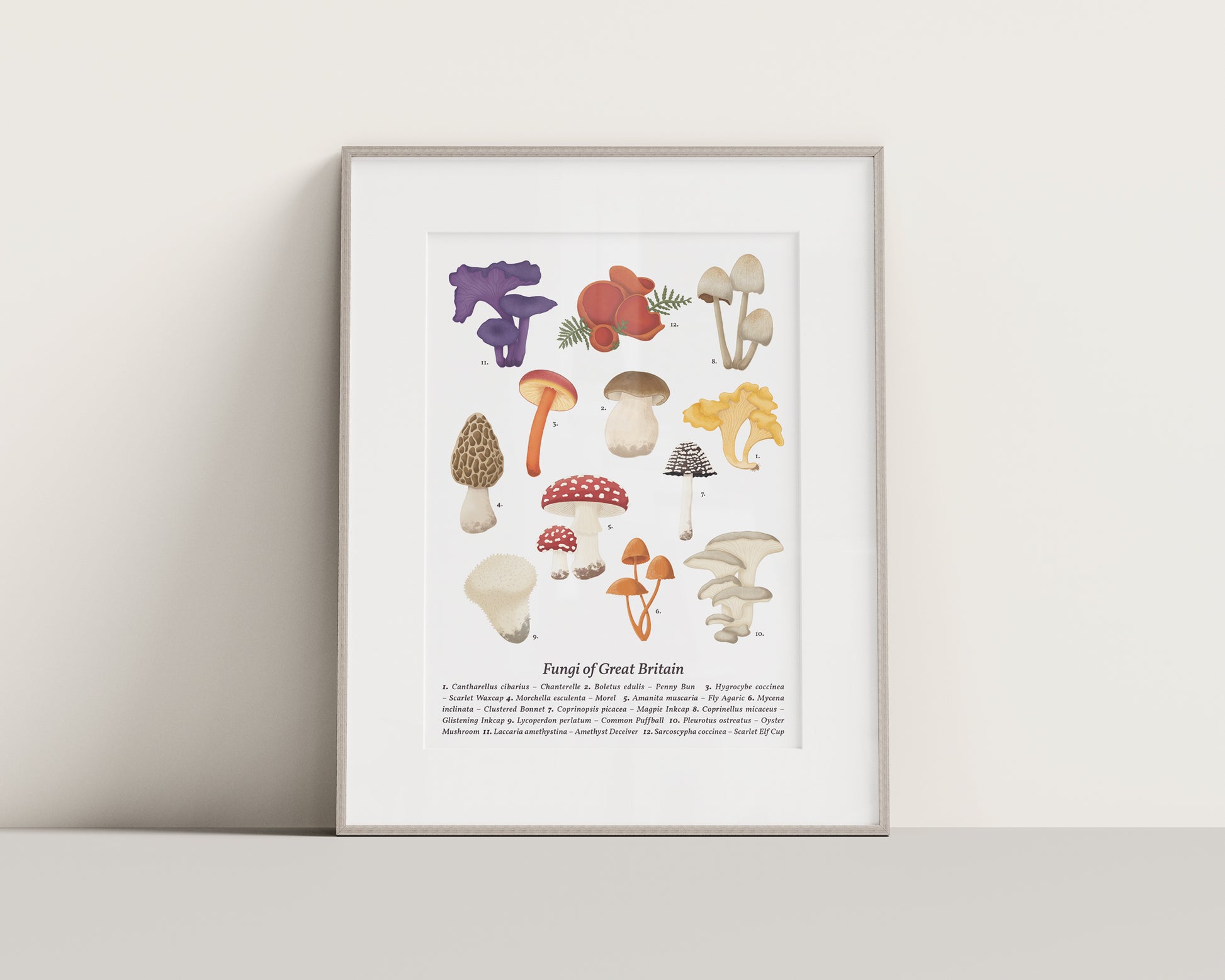 Mushroom Wall Art - A4 Framed