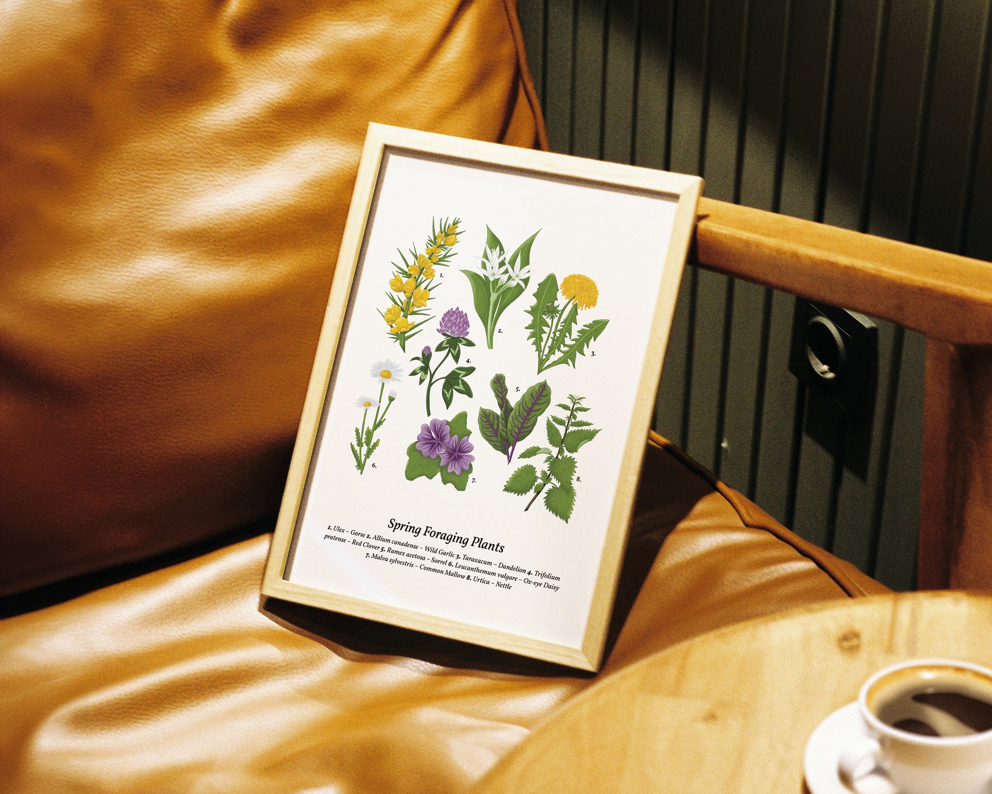 Spring Foraging Wall Art - A4 Framed on Chair