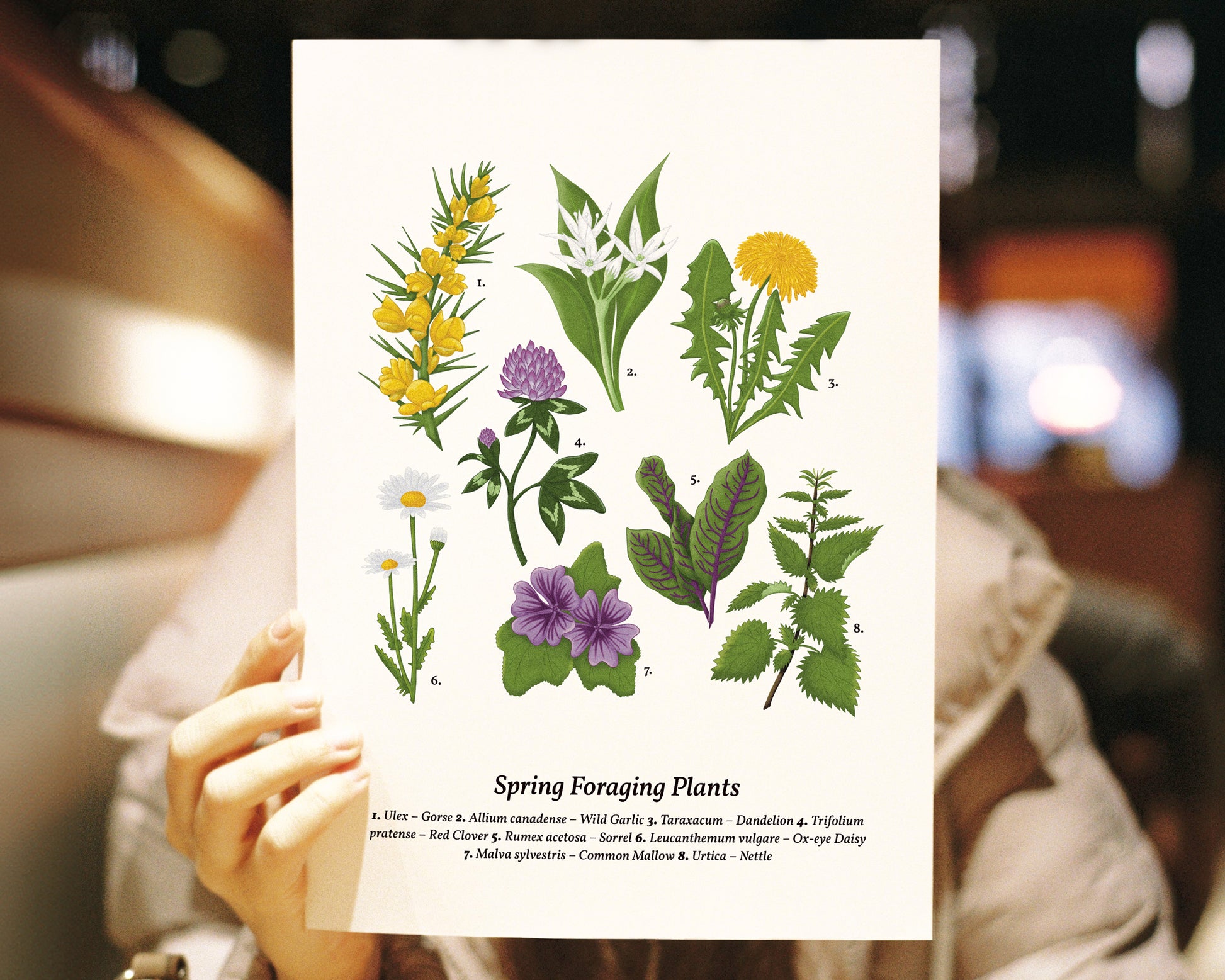 Spring Foraging Wall Art - A4 held in hand