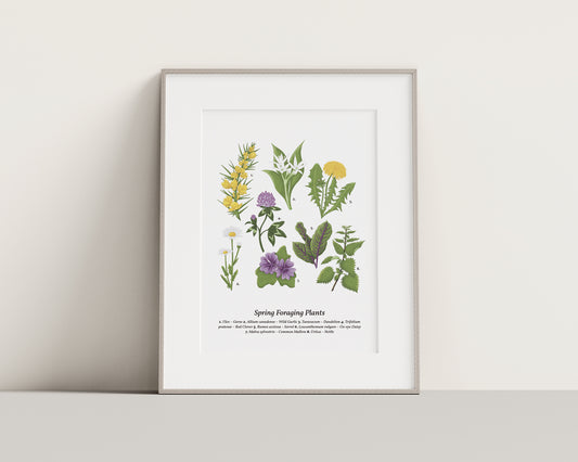 Spring Foraging Wall Art - A4 Framed