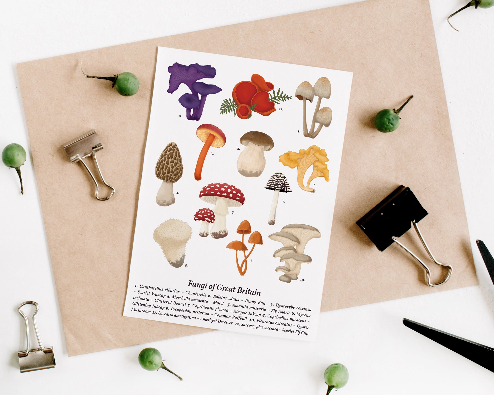 Mushroom Wall Art - A5 Print Flatlay