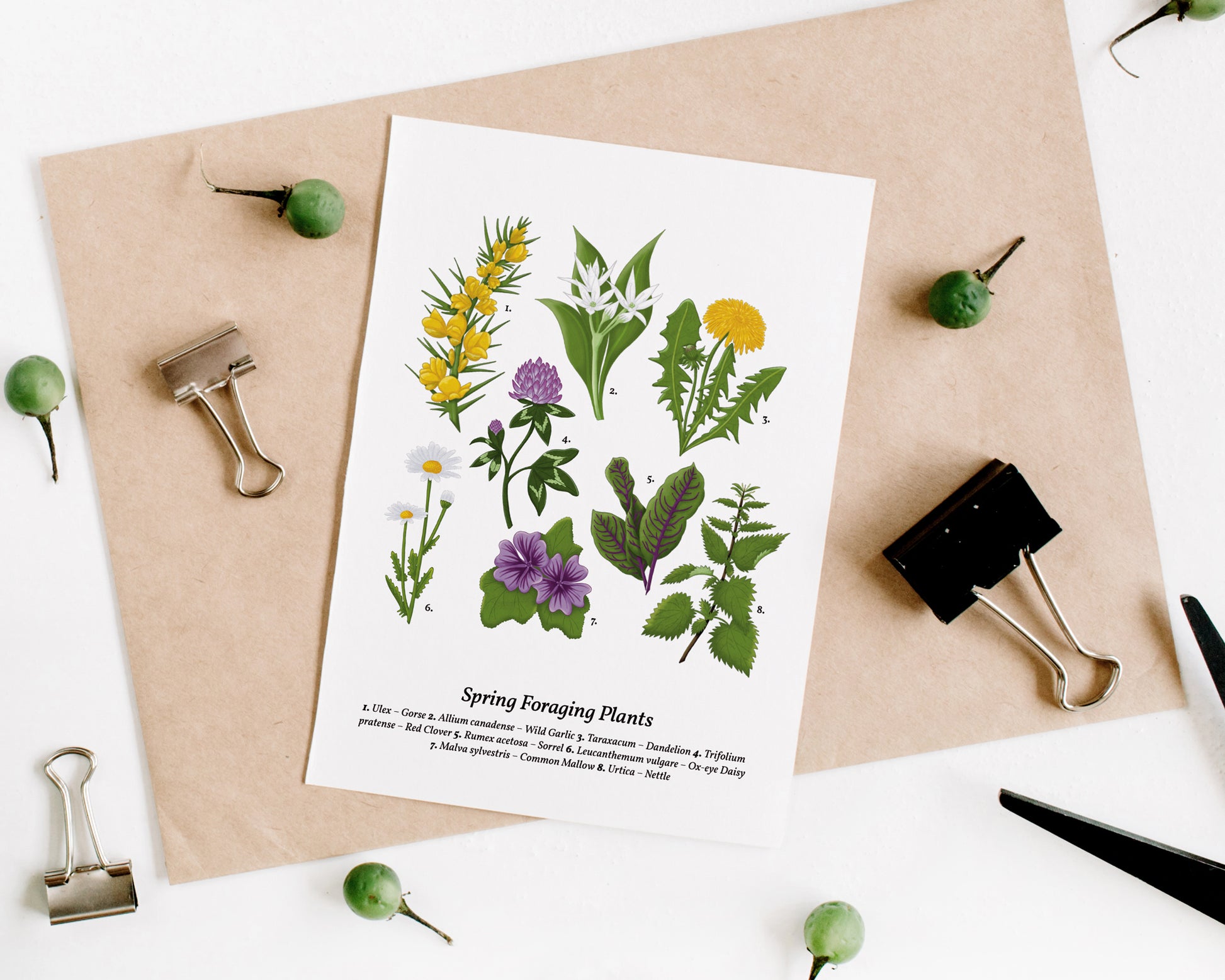 Spring Foraging Wall Art - A5 flatlay