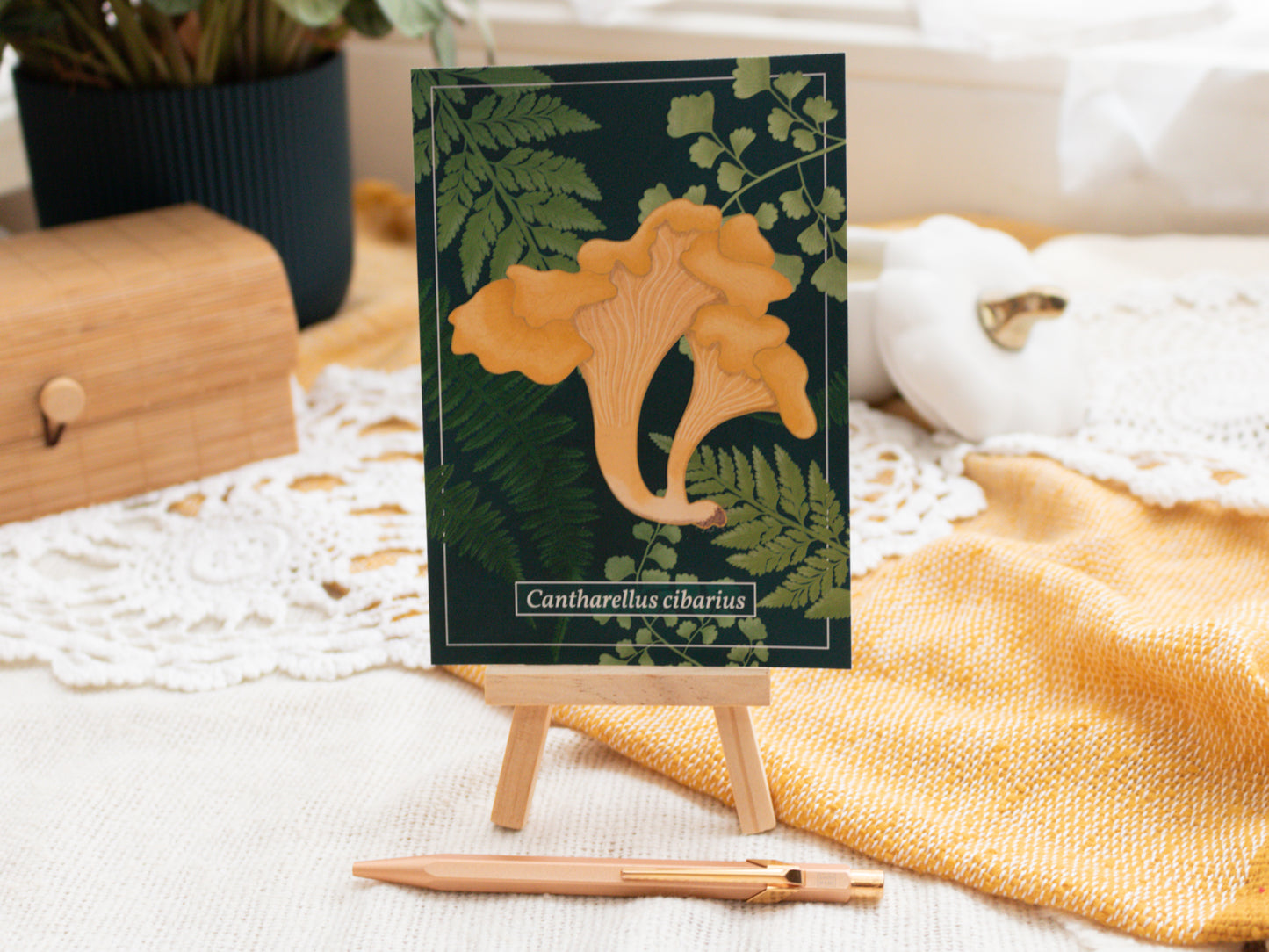 Chanterelle Mushroom Postcard
