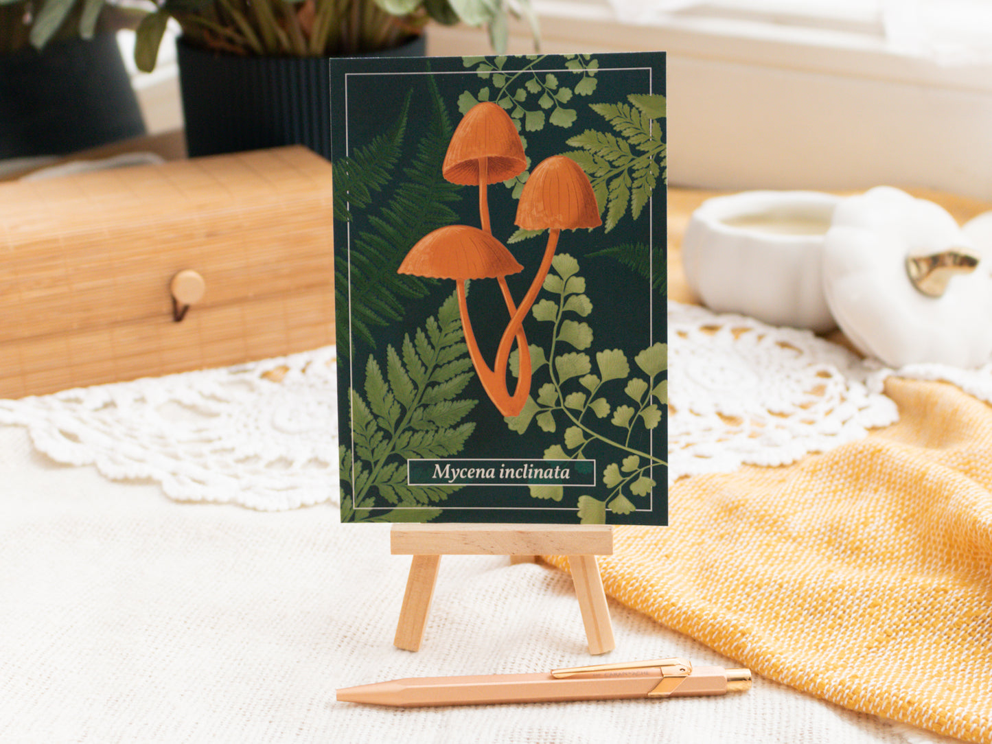 Clustered Bonnet Mushroom Postcard