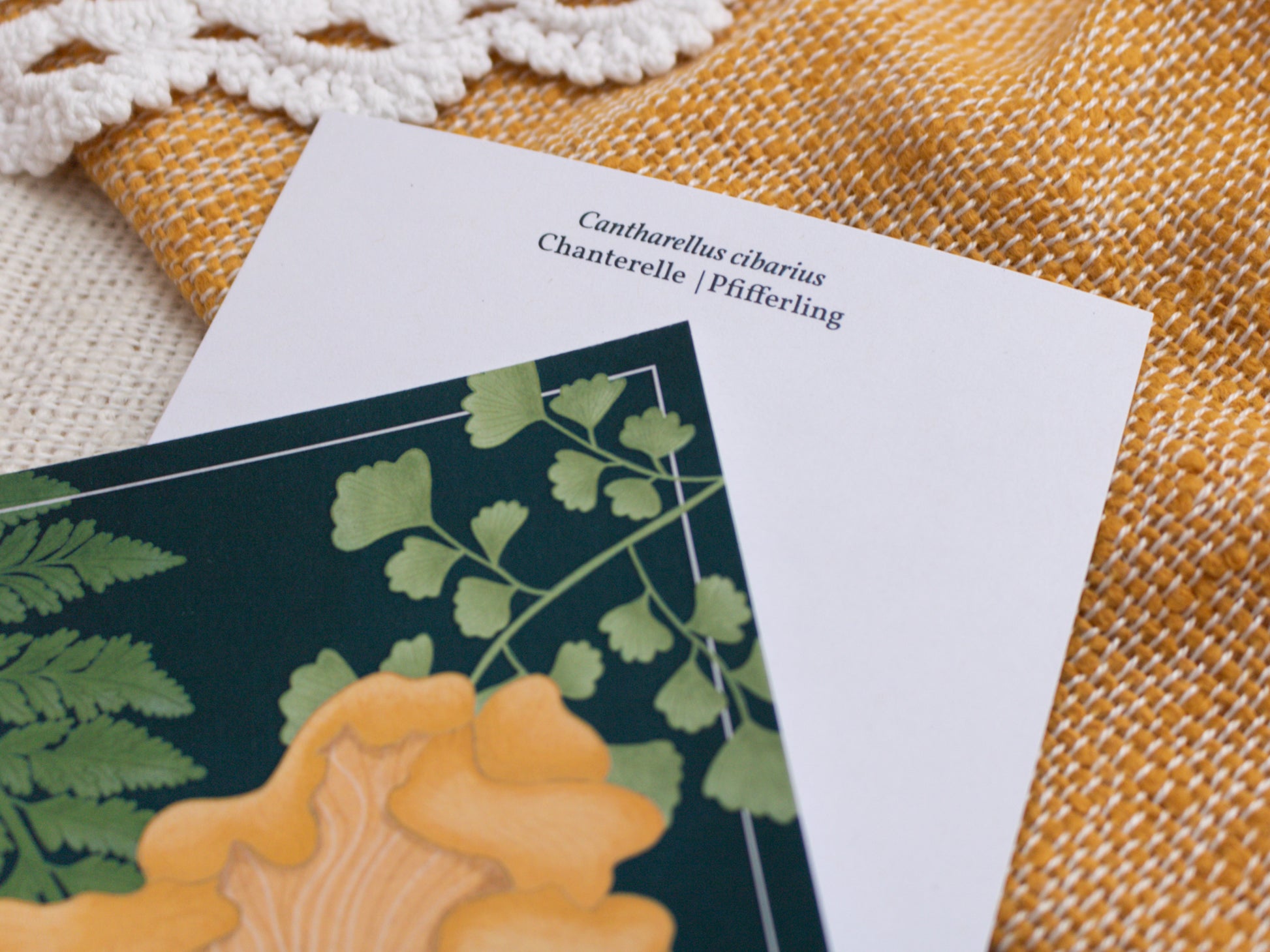 Chanterelle Mushroom Postcard - Close Up
