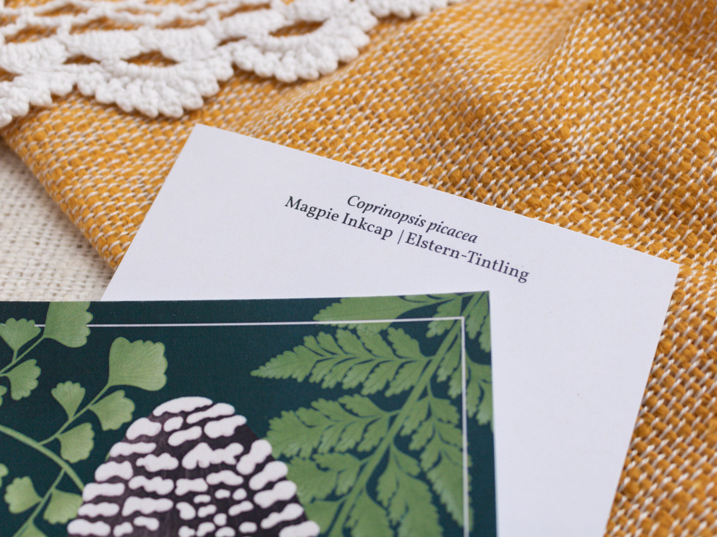 Magpie Inkcap Mushroom Postcard - Close Up