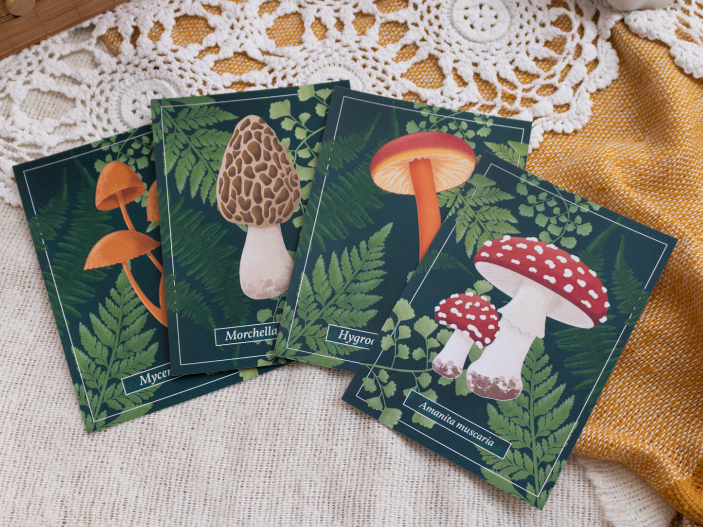 Clustered Bonnet, Morel, Scarlet Waxcap and Fly Agaric Mushroom Postcards