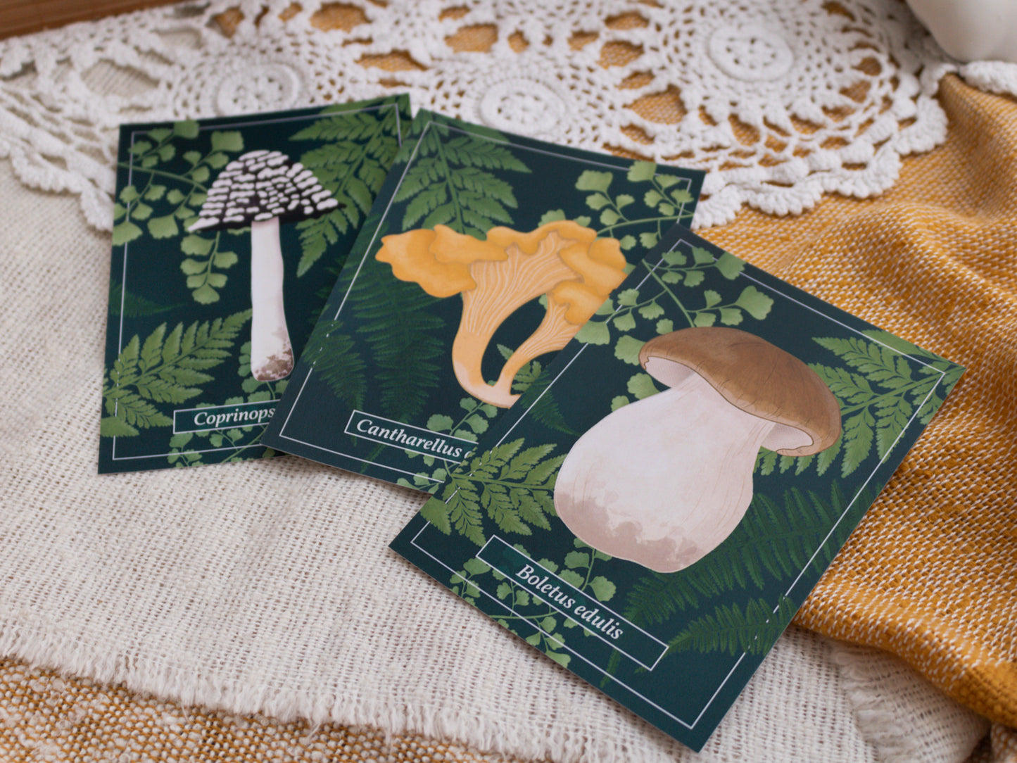Chanterelle, Penny Bun and Magpie Inkcap Mushroom Postcards