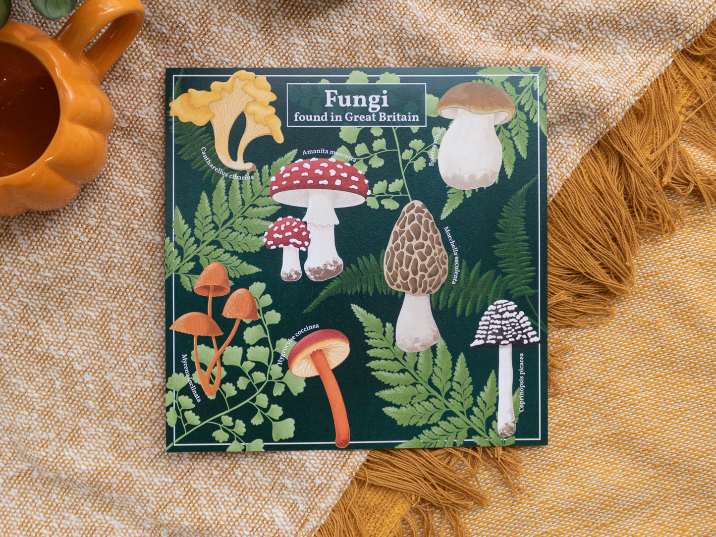 Mushroom Wall Art - Fungi found in Great Britain