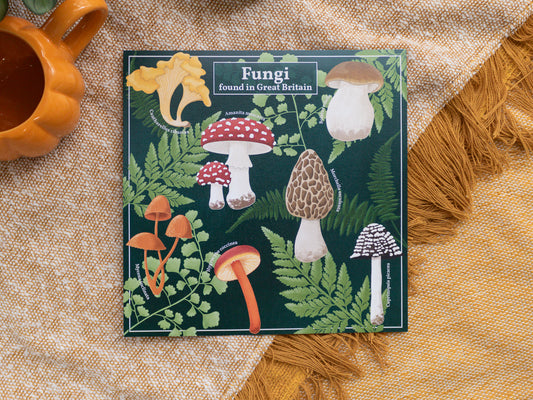 Mushroom Wall Art - Fungi found in Great Britain