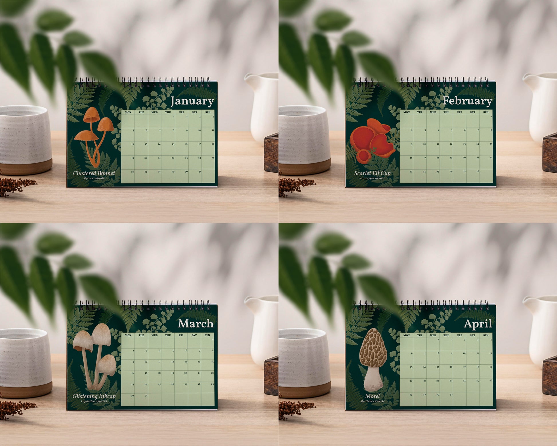 2026 Mushroom Desk Calendar - Four calendar pages for January, February, March, and April on a wooden surface with plants and a white vase.