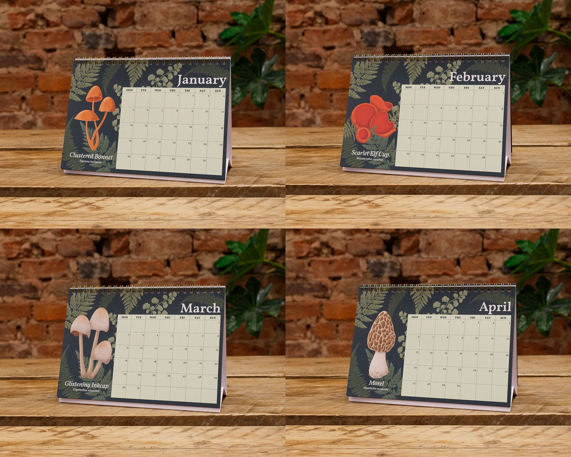 2026 Mushroom Desk Calendar - January, February, March and April Pages