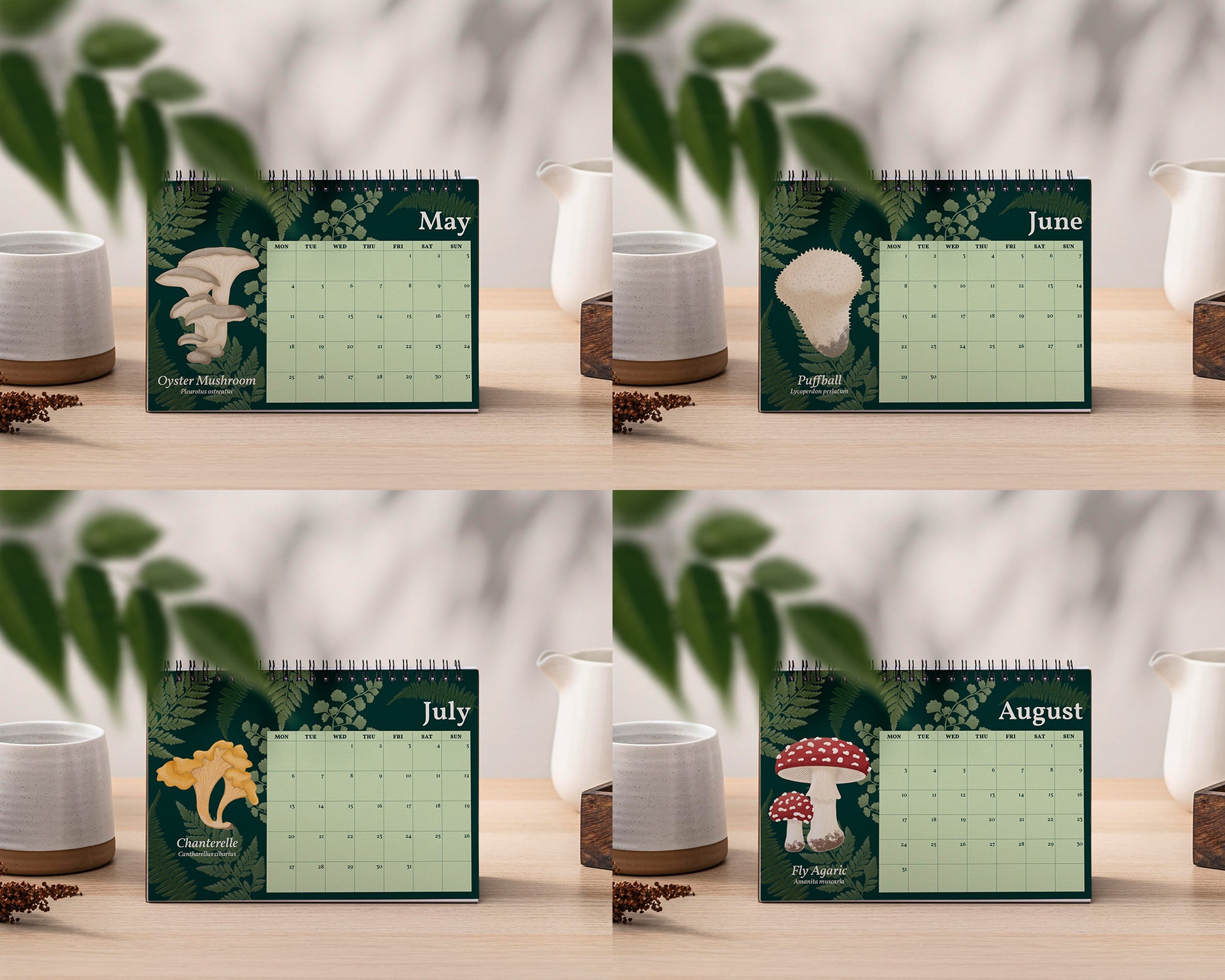 2026 Mushroom Desk Calendar - Four calendar pages for May, June, July, and August on a wooden surface with plants and a white vase.
