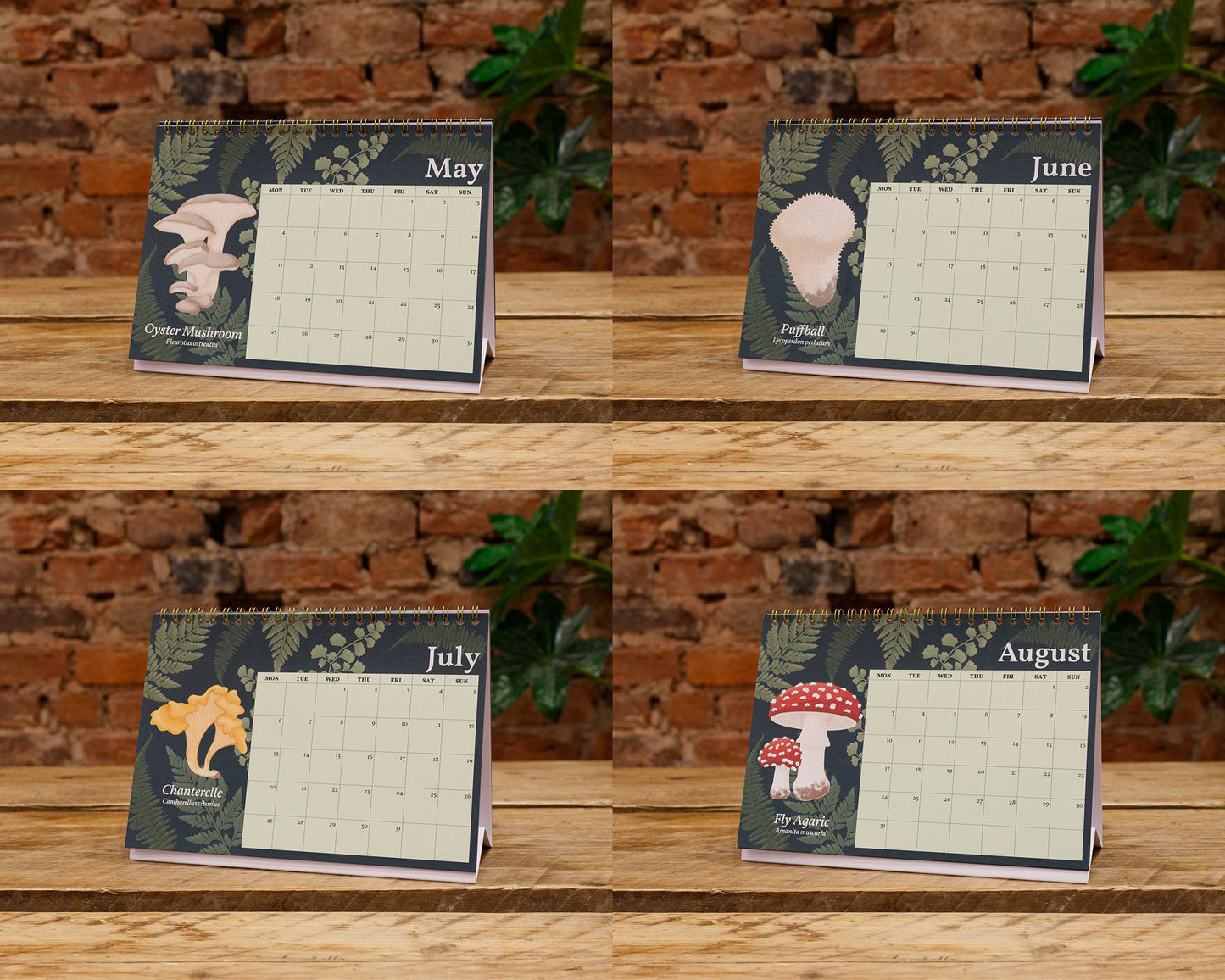 2026 Mushroom Desk Calendar - May, June, July and August Pages