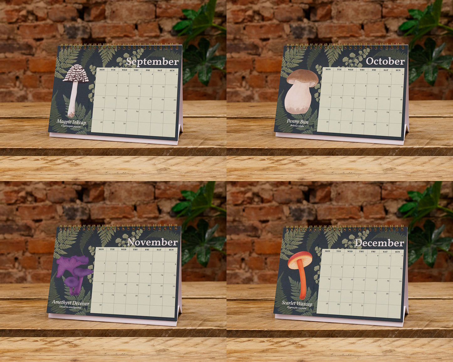 2026 Mushroom Desk Calendar - September, October, November and December Pages