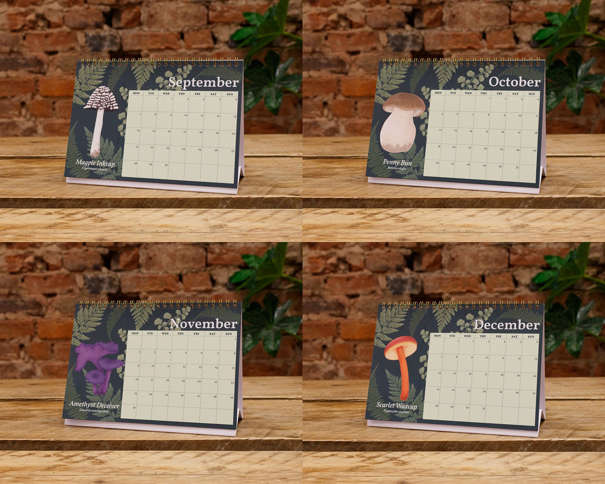 2026 Mushroom Desk Calendar - September, October, November and December Pages