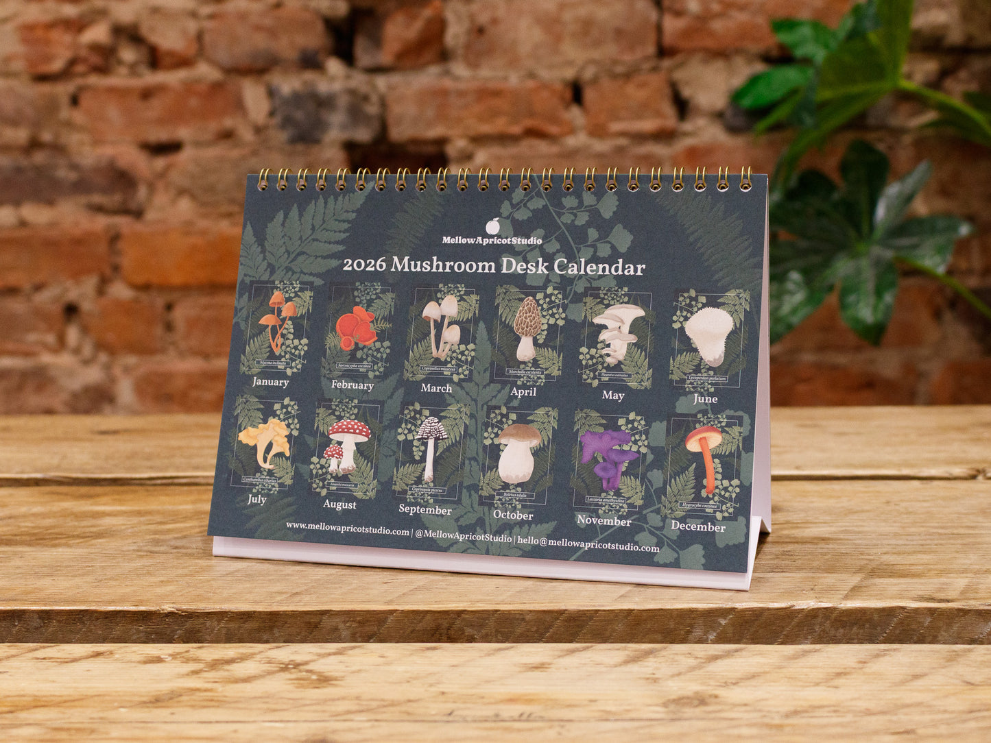 2026 Mushroom Desk Calendar - Overview