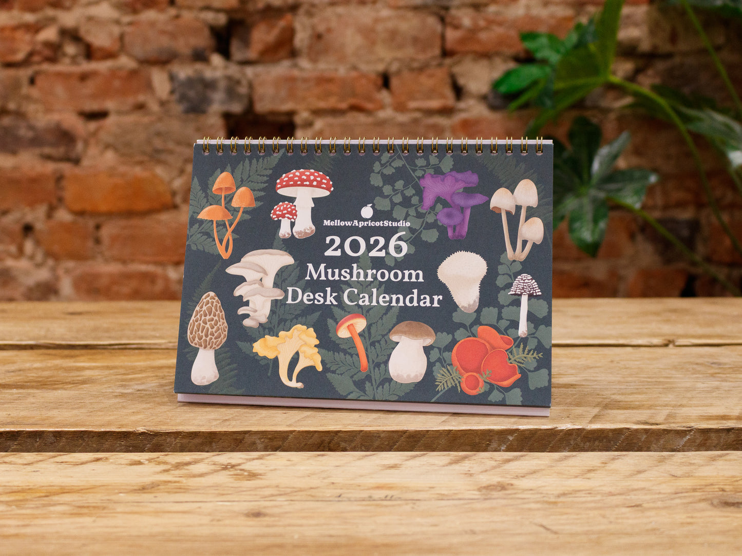 2026 Mushroom Desk Calendar - Cover