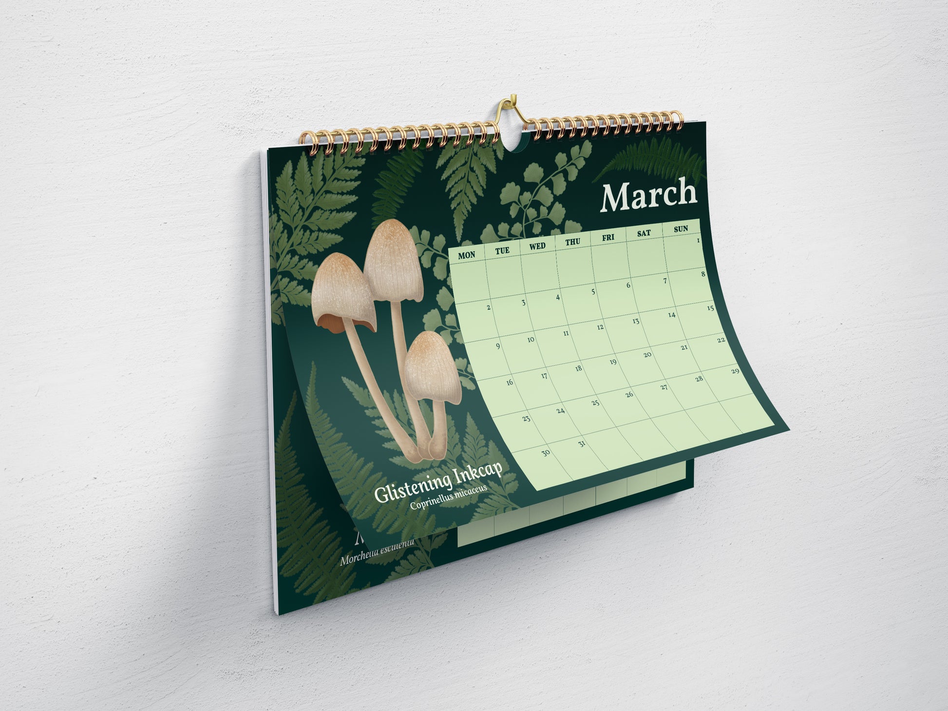 2026 Mushroom Calendar - March page featuring a glistening inkcap mushroom.