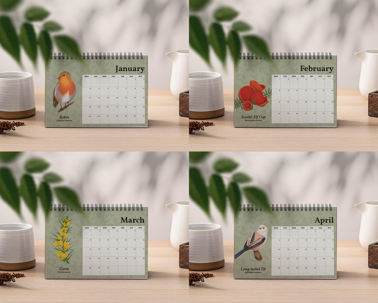 PRE-ORDER: 2027 British Wildlife Desk Calendar