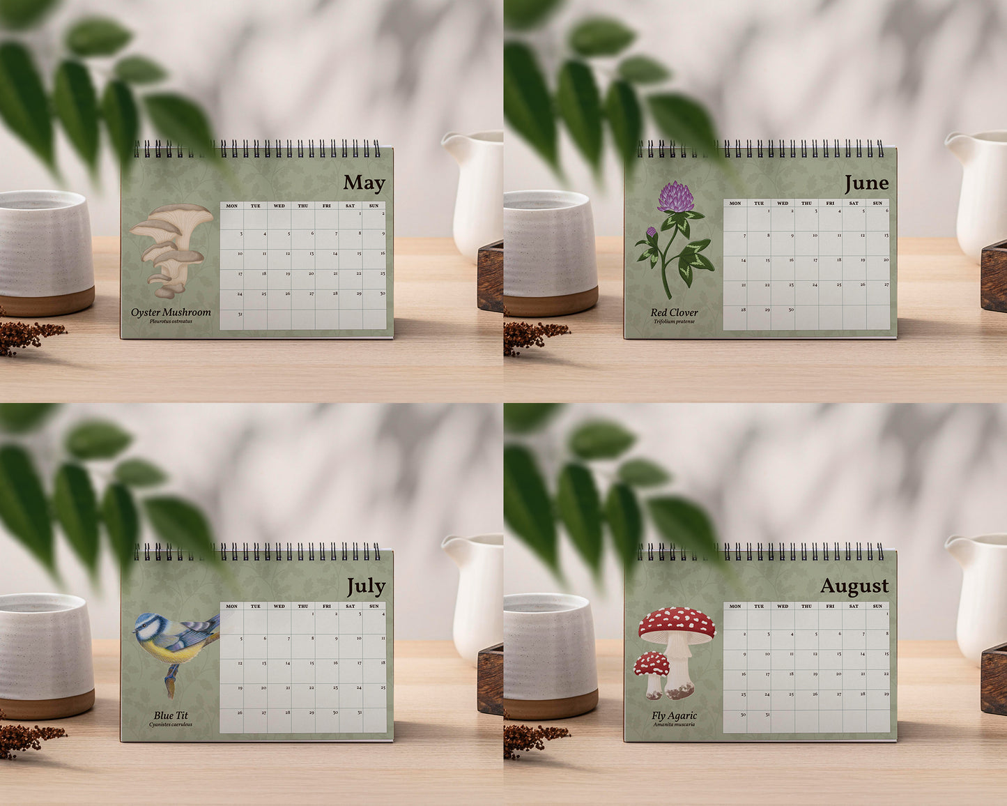 PRE-ORDER: 2027 British Wildlife Desk Calendar
