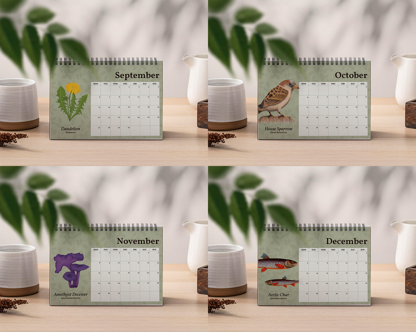 PRE-ORDER: 2027 British Wildlife Desk Calendar