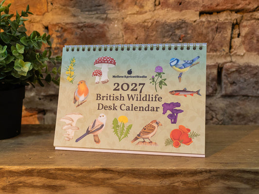2027 British Wildlife Desk Calendar by MellowApricot Studio stands upright on a wooden table against a rustic brick wall, decorated with illustrations of British wildlife such as birds, mushrooms, and plants.