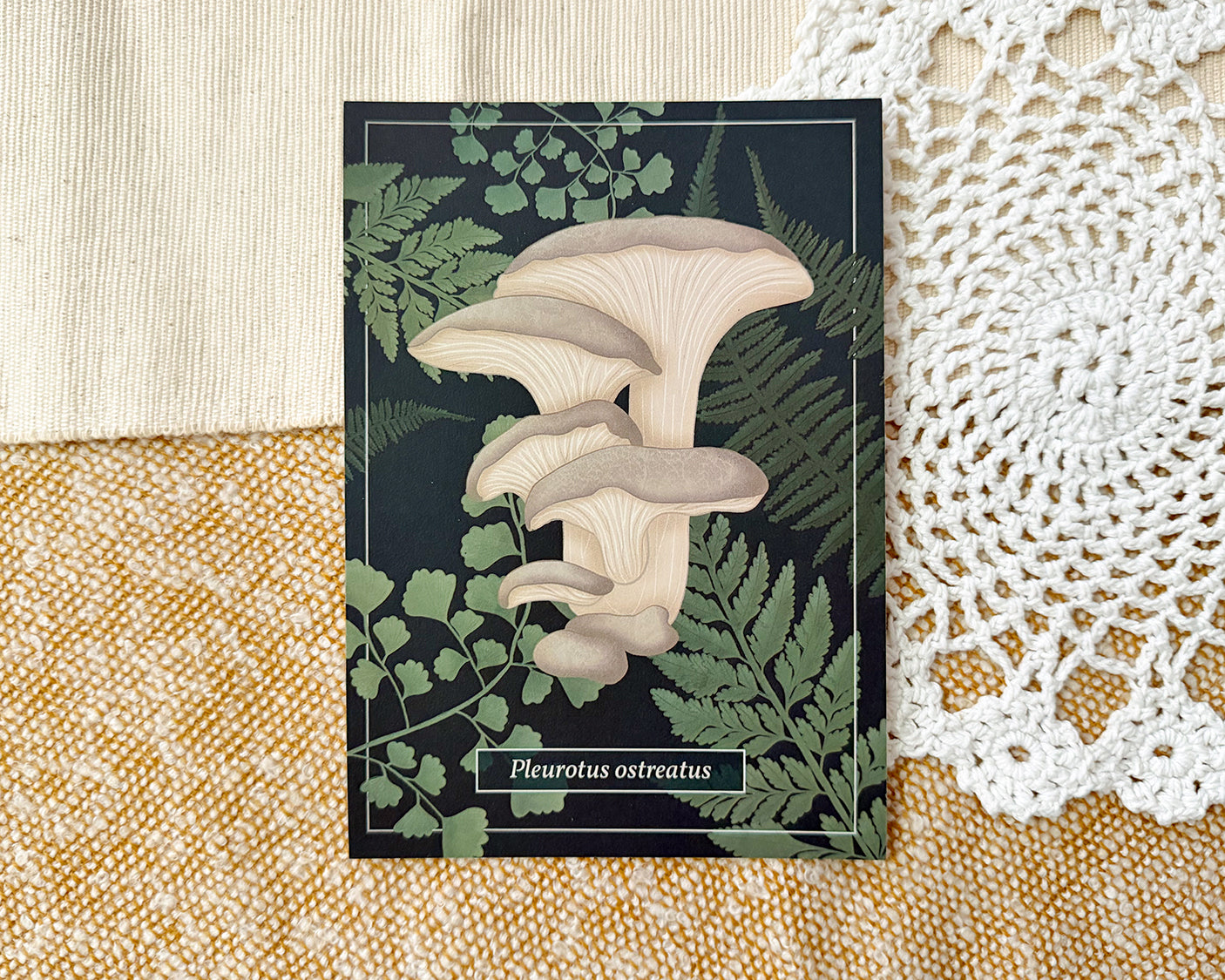 Postcard featuring an illustration of an oyster mushroom