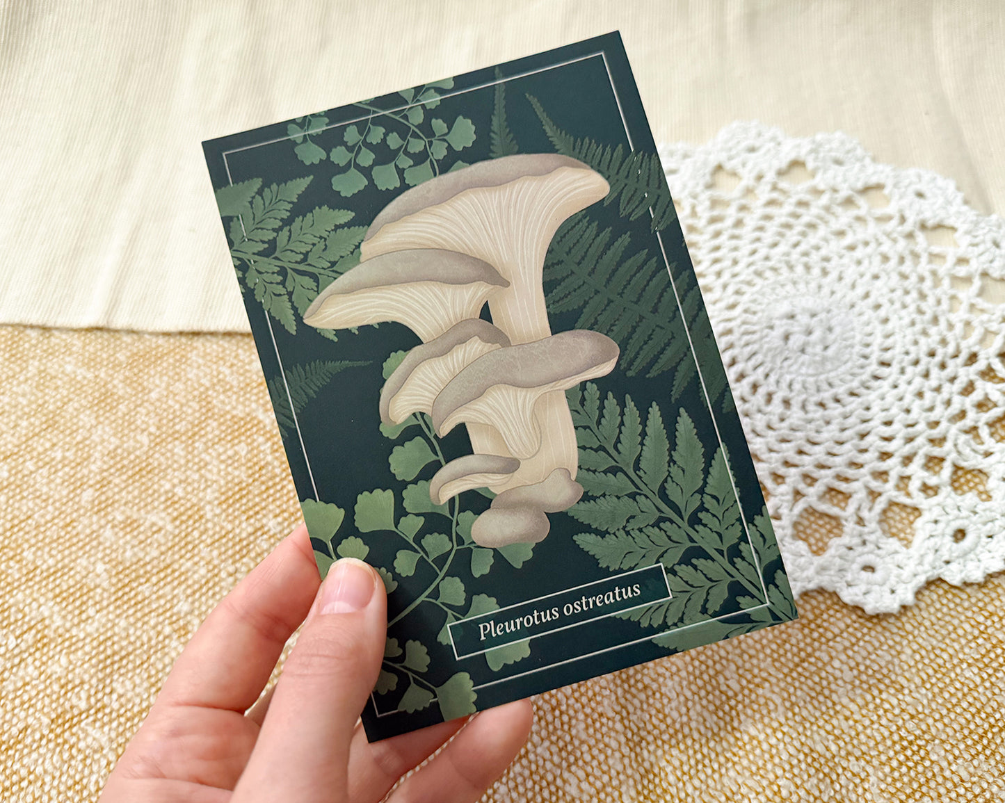 Card with oyster mushroom illustration held by a hand on a textured surface