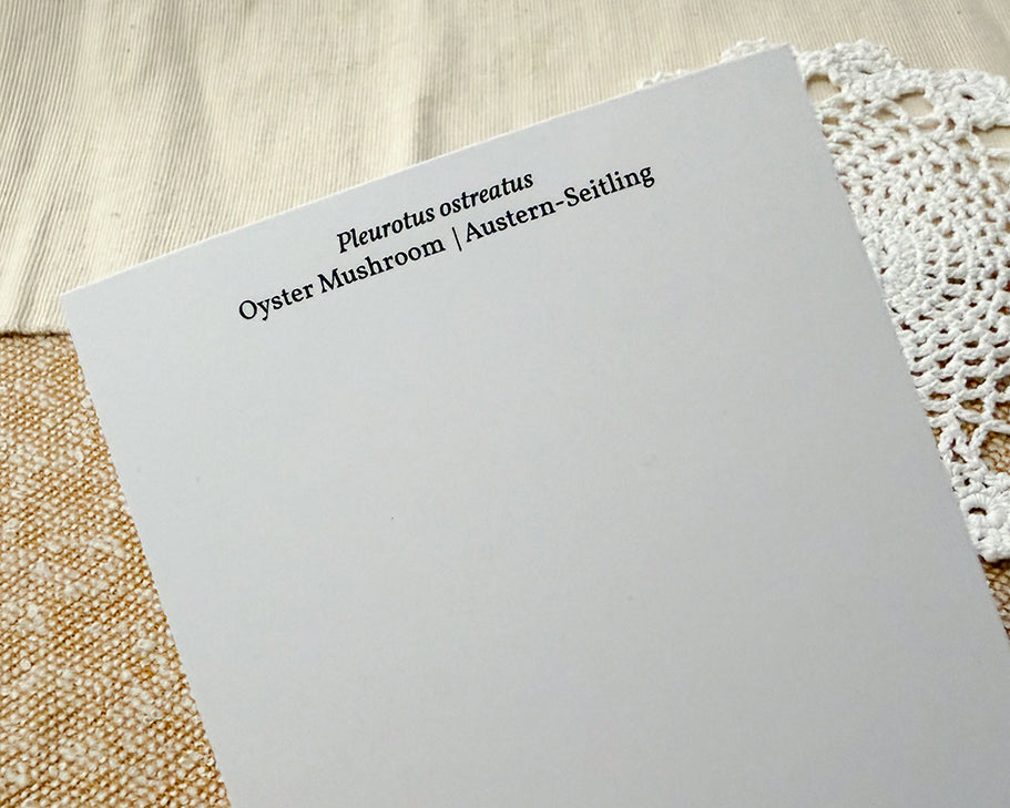 blank back of postcard featuring text: pleurotus ostreatus, oyster mushroom, austern-seitling
