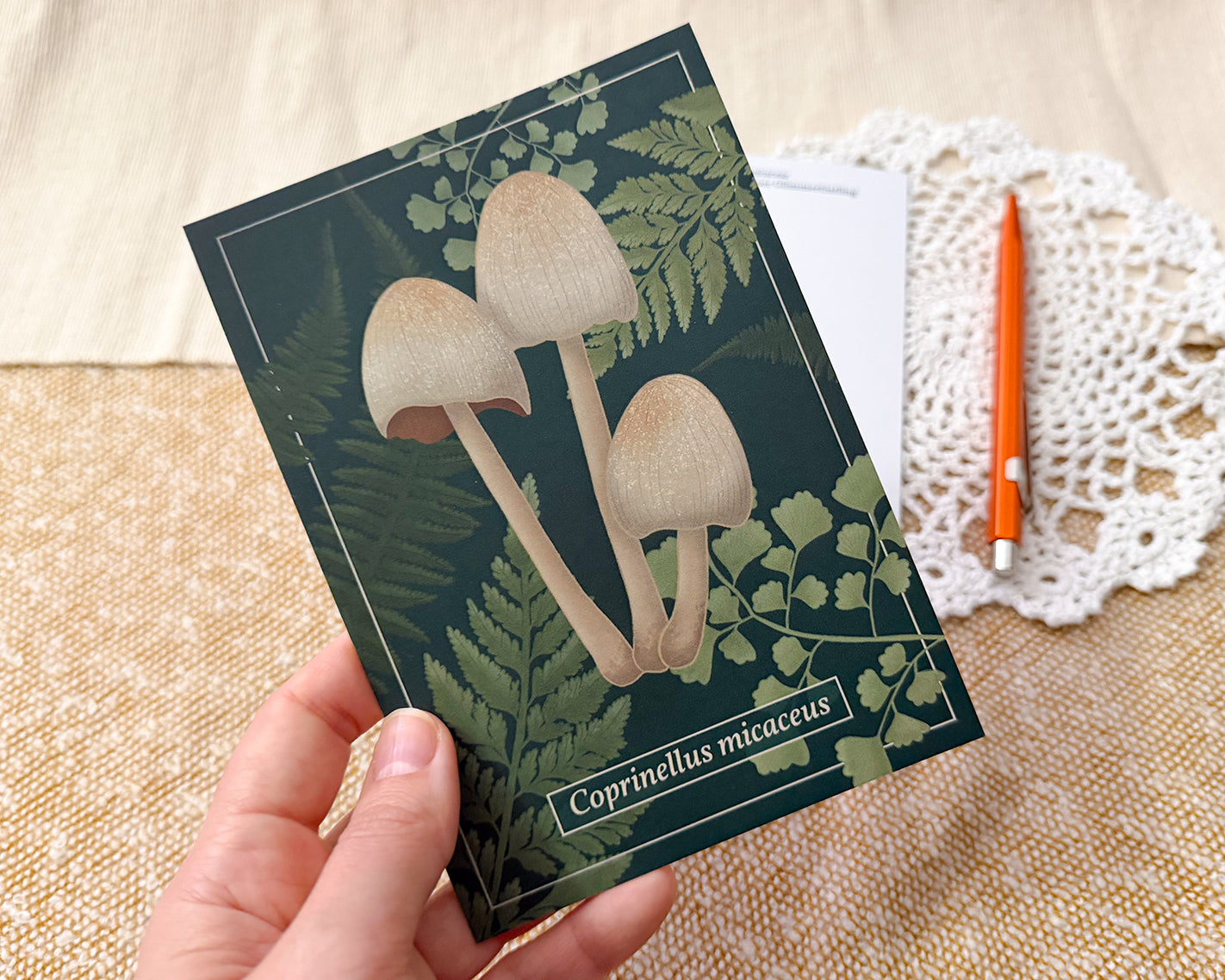 Postcard featuring an illustration of an glistening inkcap mushroom, held in hand