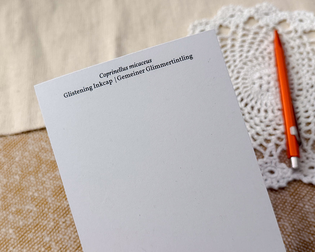 blank back of glistening inkcap postcard