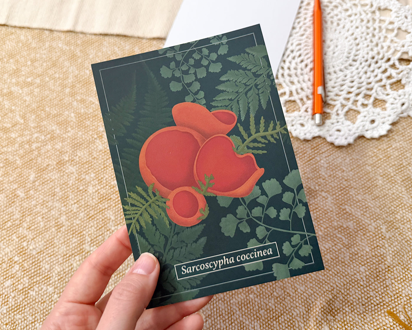 Scarlet Elf Cup Mushroom Post Card held in hand