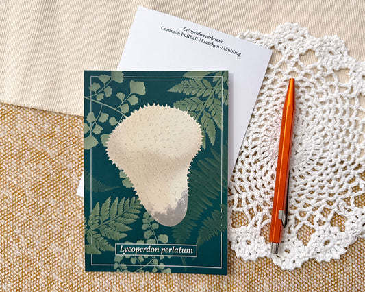 Common Puffball Mushroom Post Card