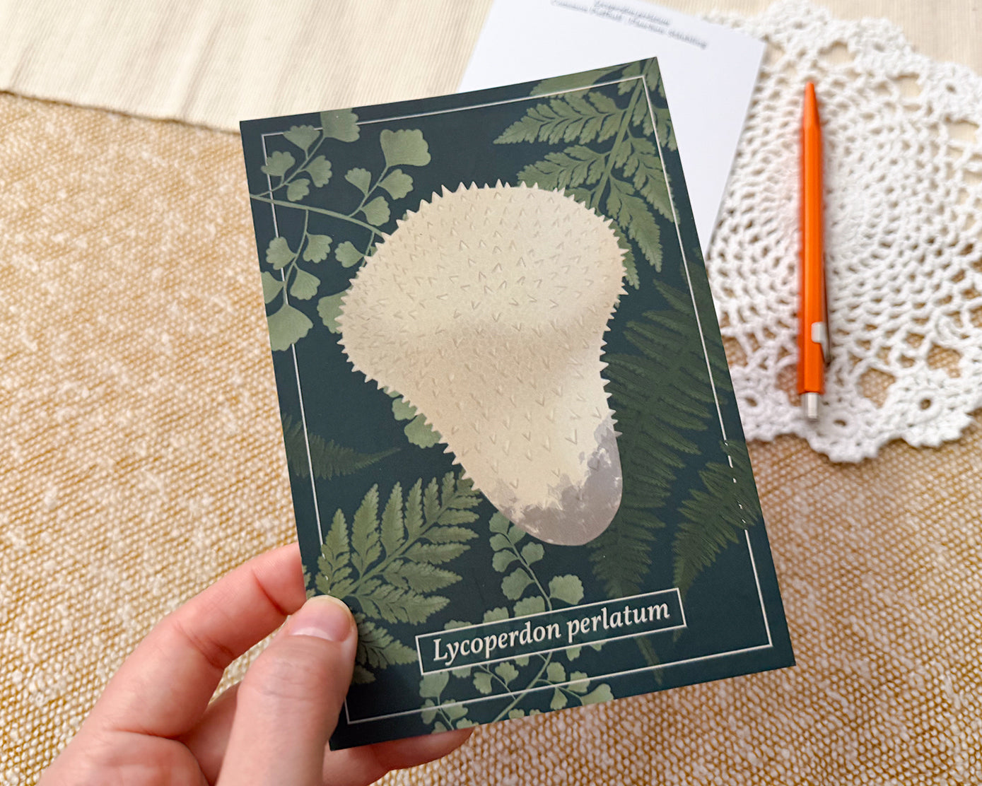 Common Puffball Mushroom Post Card, held in hand