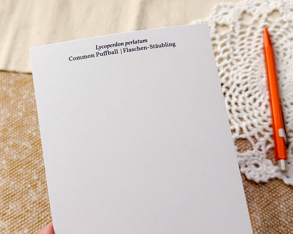 Common Puffball Mushroom Post Card - back